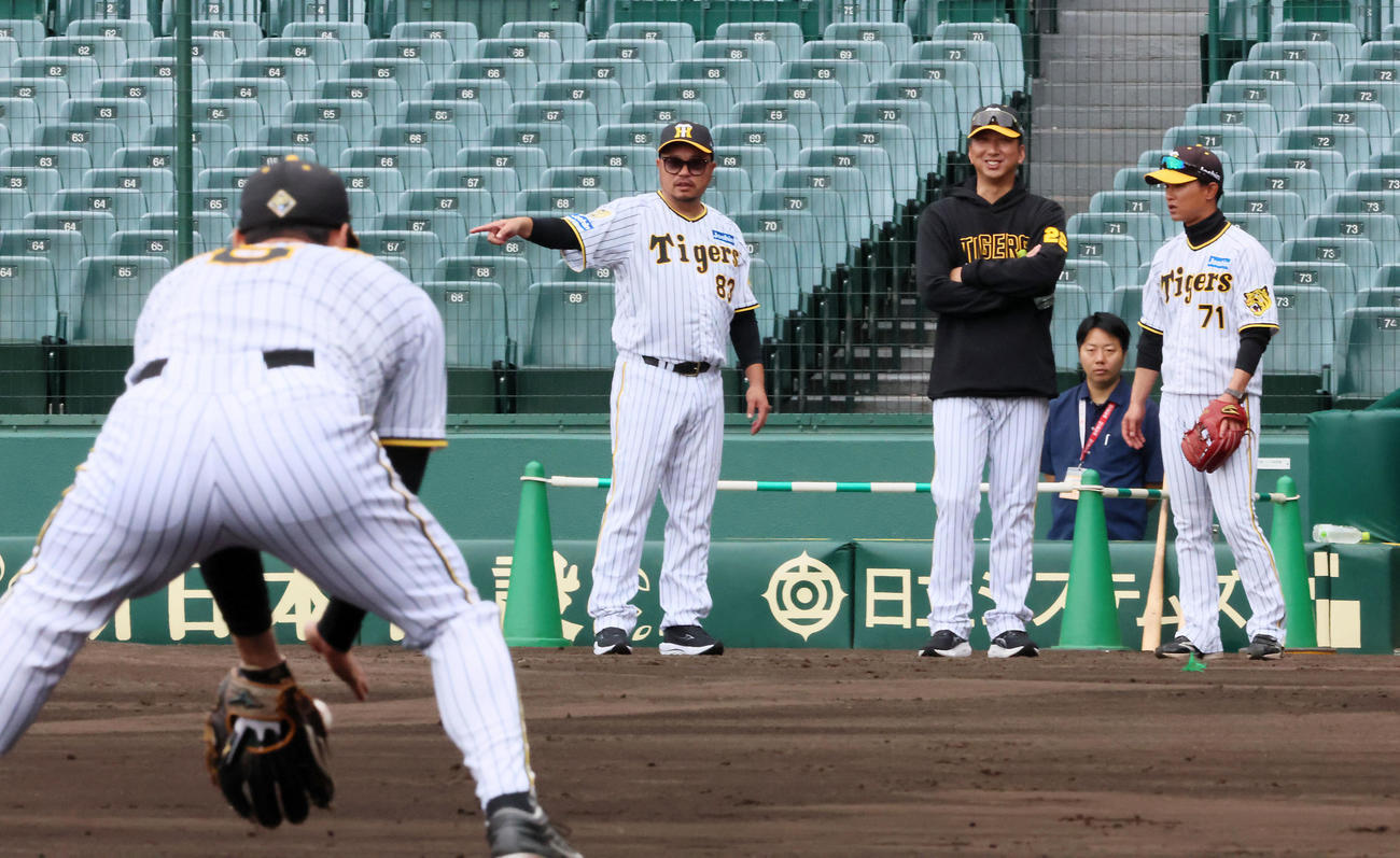 佐藤輝（左）の守備練習を見守る左から小谷野コーチ、藤川監督、上本コーチ（撮影・加藤哉）