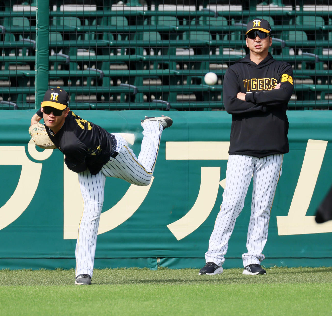 キャッチボールする及川（左）の隣で見る藤川監督（撮影・加藤哉）