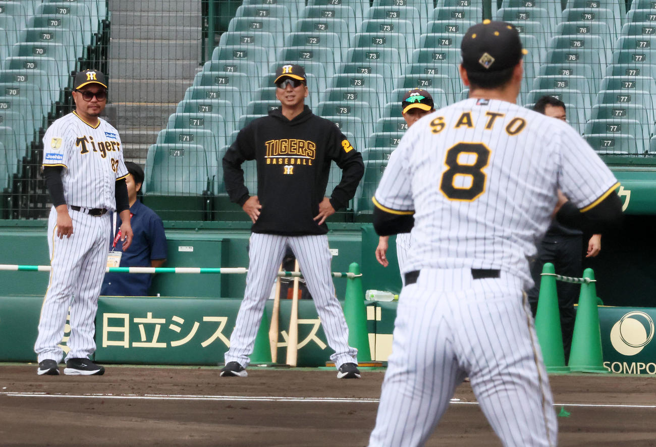 ノックを受ける佐藤輝を見守る藤川監督。左は小谷野チーフコーチ（撮影・加藤哉）