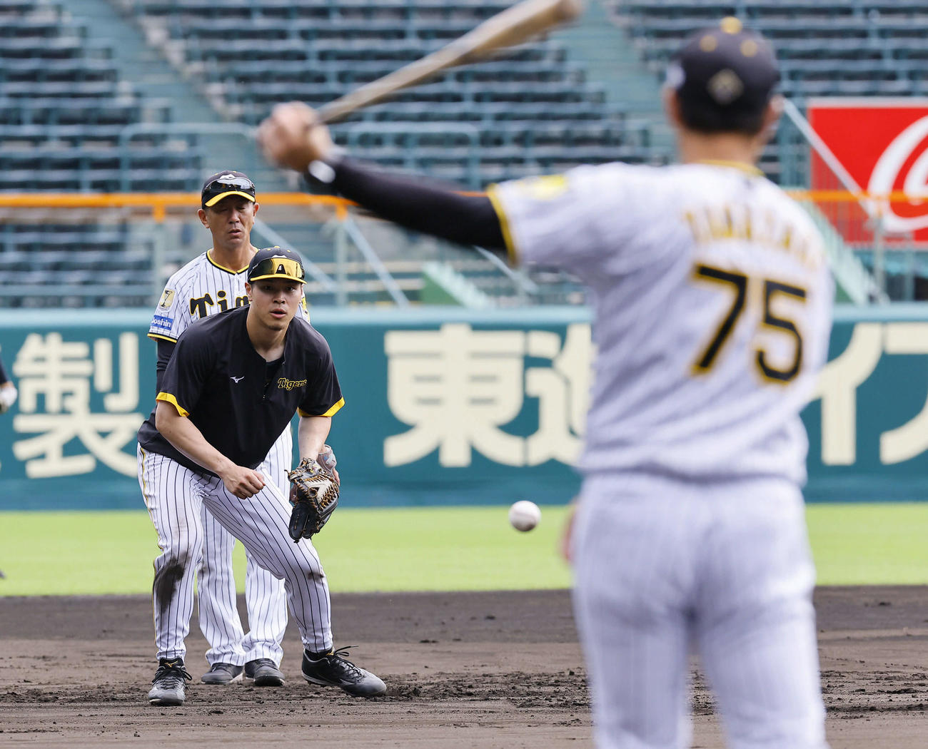 全体練習後、阪神佐藤輝は田中コーチが見守る前でノックを受ける（撮影・藤尾明華）