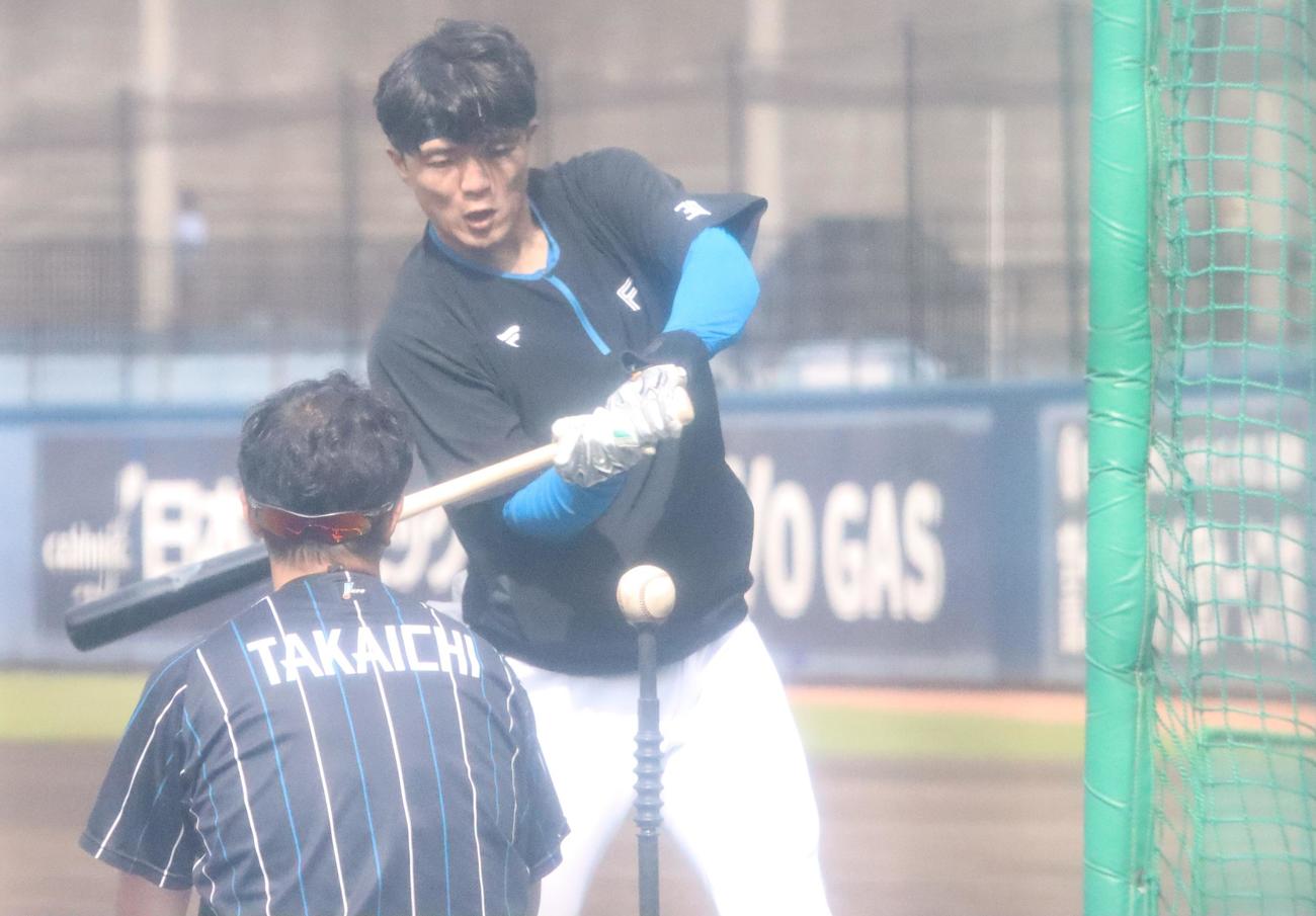 ティー打撃に励む日本ハム郡司