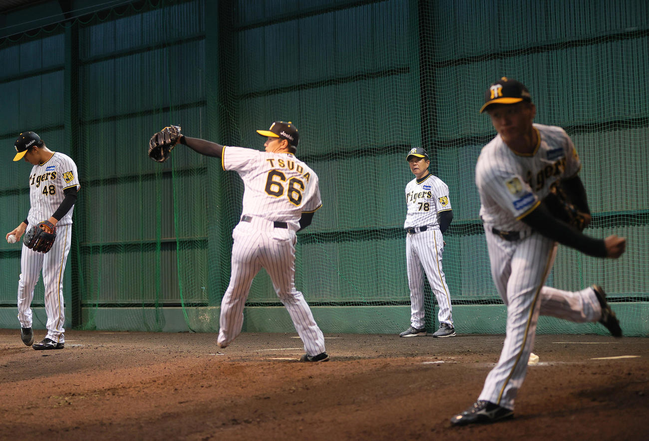 宮崎アイビースタジアムのブルペンを確認する阪神平田2軍監督（撮影・上山淳一）