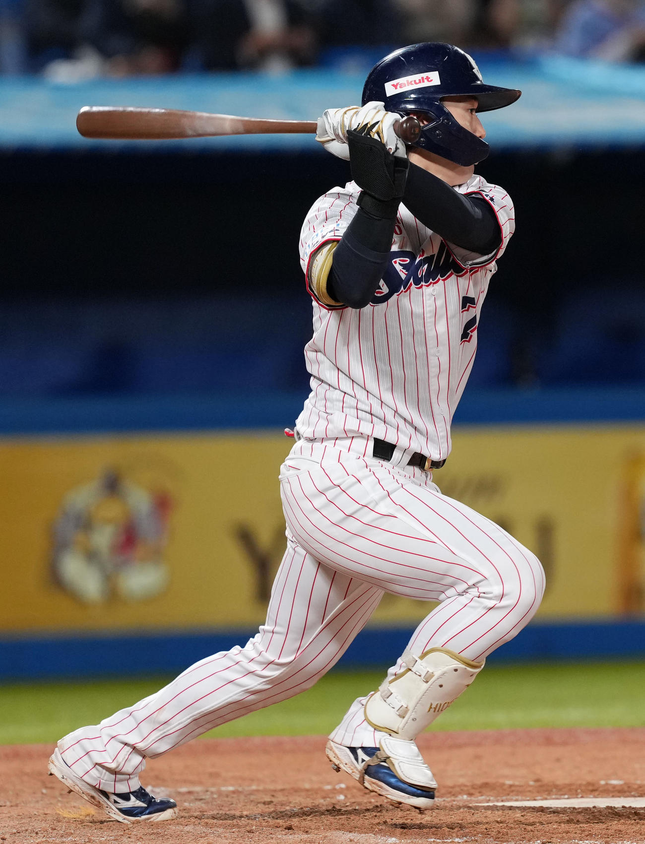 ヤクルト長岡秀樹（2024年10月3日撮影）