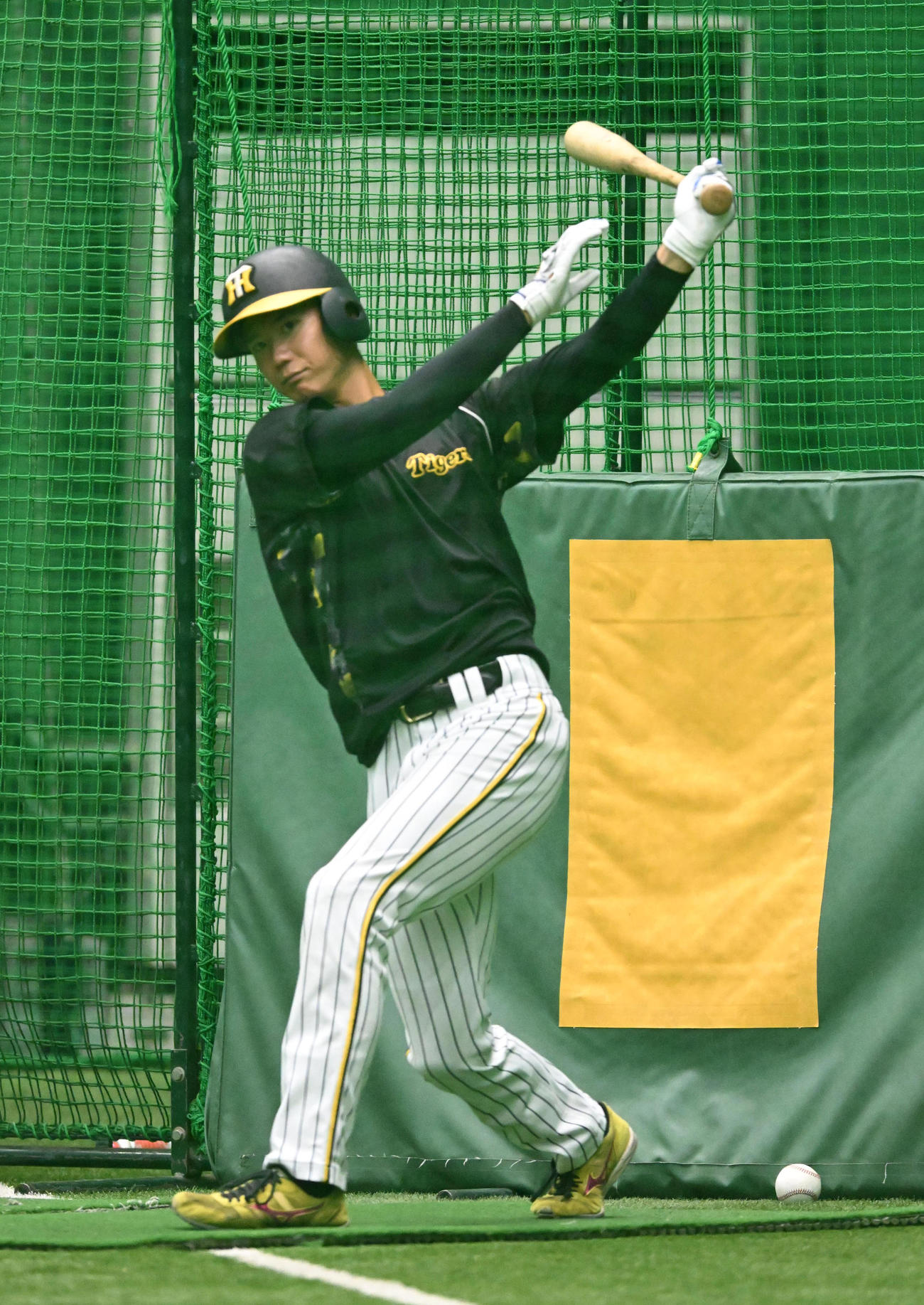 打撃練習を行う山田（撮影・前岡正明）
