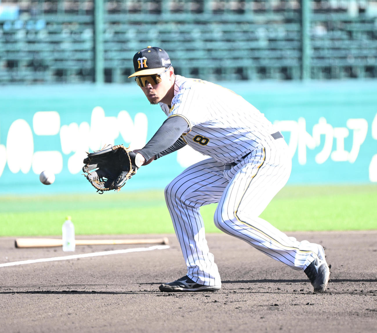 守備強化メニューをに取り組む阪神佐藤輝（撮影・和賀正仁）