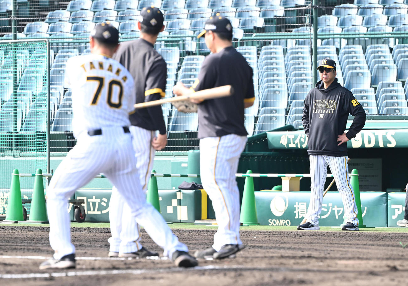 ベンチ前で仁王立ちとなり練習を見る阪神藤川監督（撮影・和賀正仁）