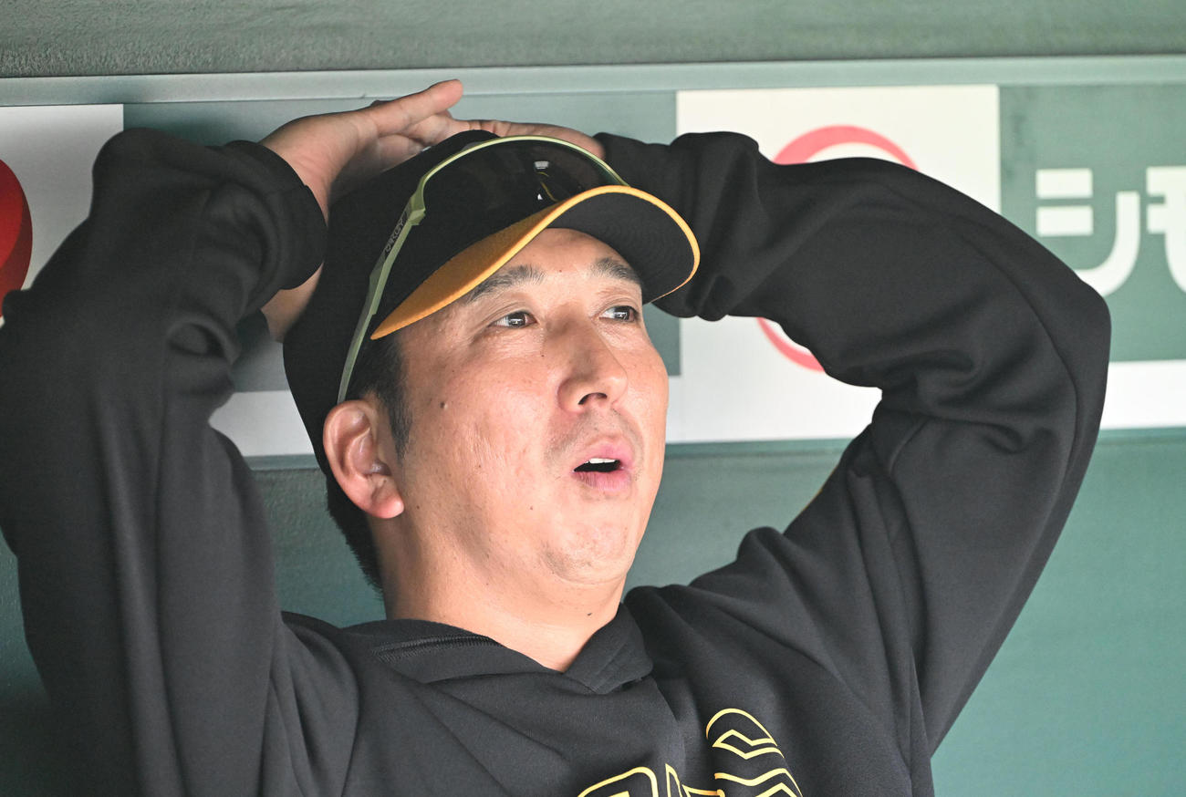 ベンチで取材対応する阪神藤川監督（撮影・和賀正仁）