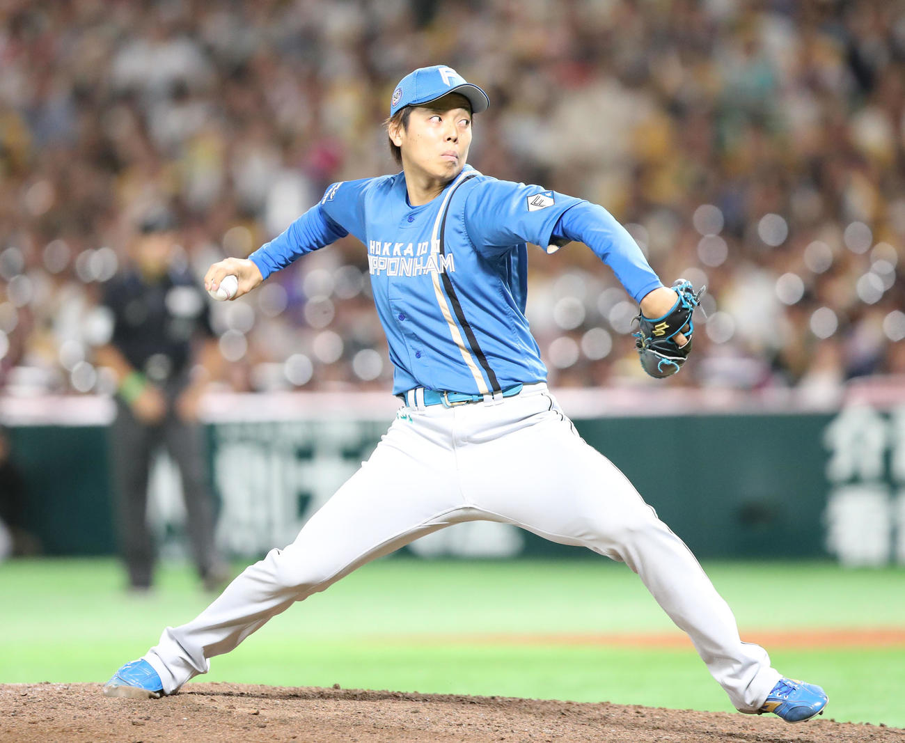 日本ハム杉浦稔大（2024年10月16日撮影）