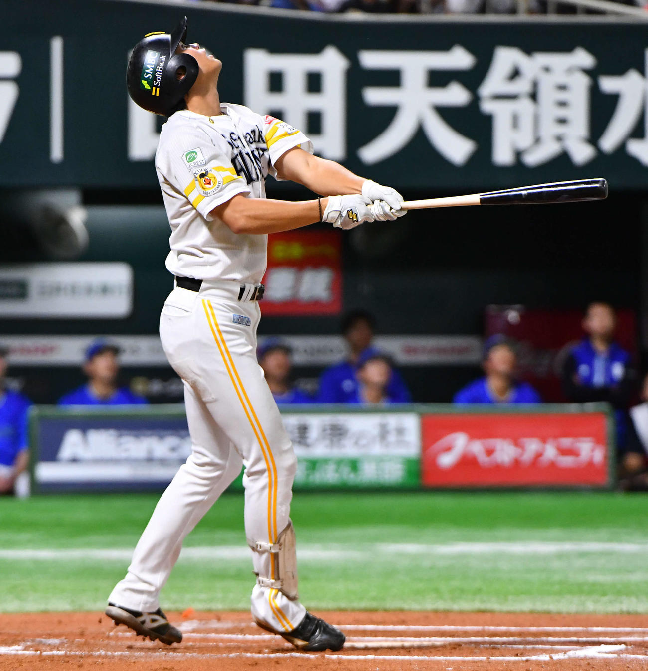 ソフトバンク対DeNA 6回裏ソフトバンク無死、三飛に倒れた笹川（撮影・岩下翔太）