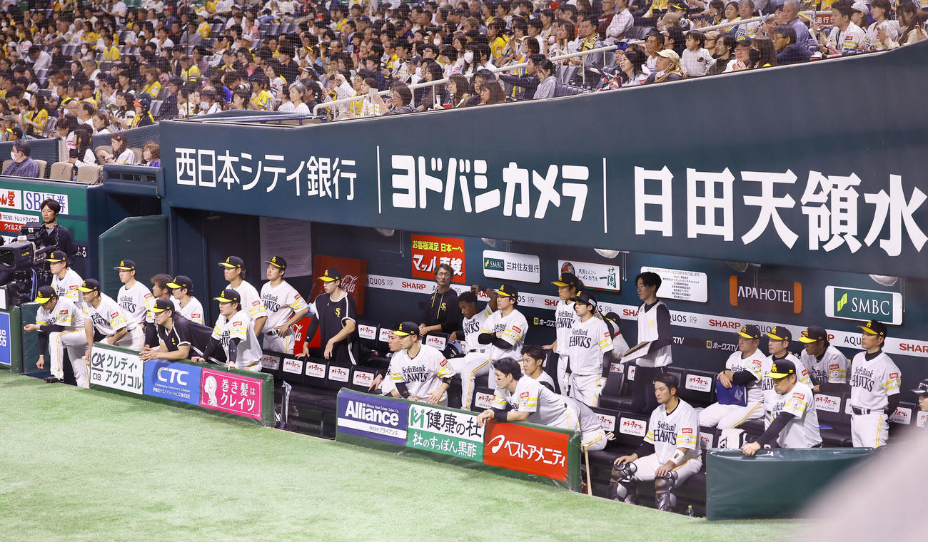ソフトバンク対DeNA 9回裏、ベンチから試合を見つめる小久保監督（右端）らソフトバンクナイン（撮影・藤尾明華）