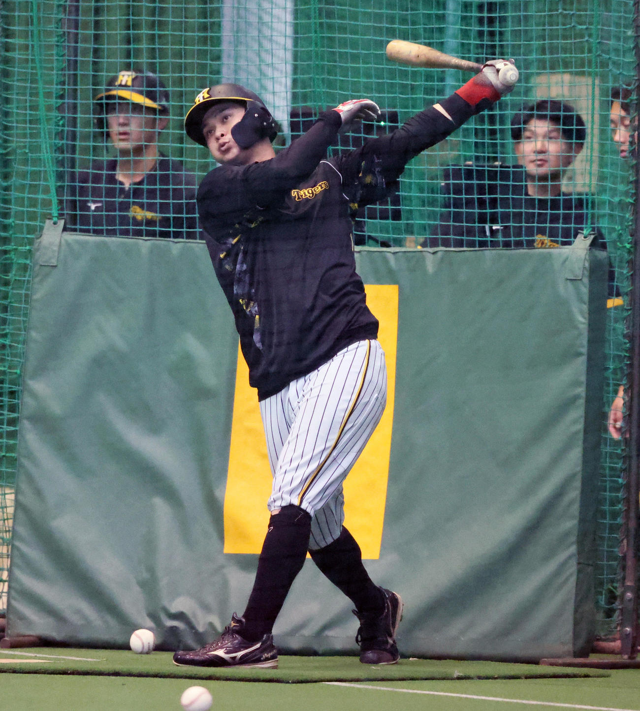 秋季キャンプ初日、打撃練習する野口（撮影・加藤哉）