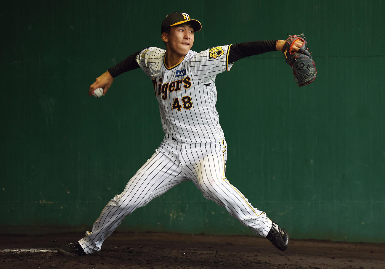 ブルペンで投げ込む阪神茨木（撮影・前田充）