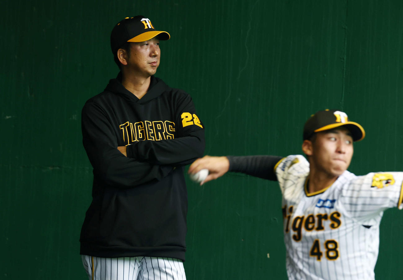 ブルペンで阪神茨木の練習を見る藤川監督（撮影・前田充）