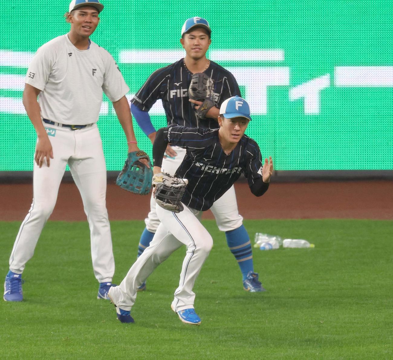 外野で守備練習する日本ハム矢沢（撮影・黒川智章）