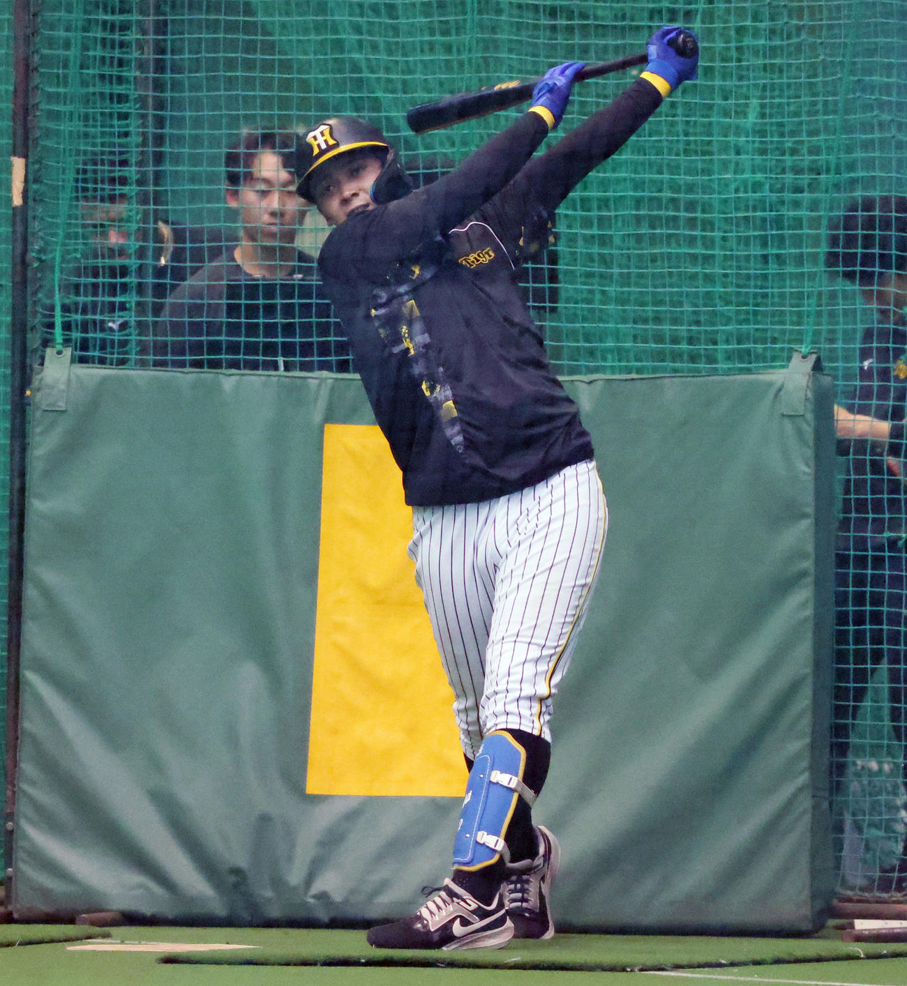 秋季キャンプ2日目、打撃練習する井上（撮影・加藤哉）