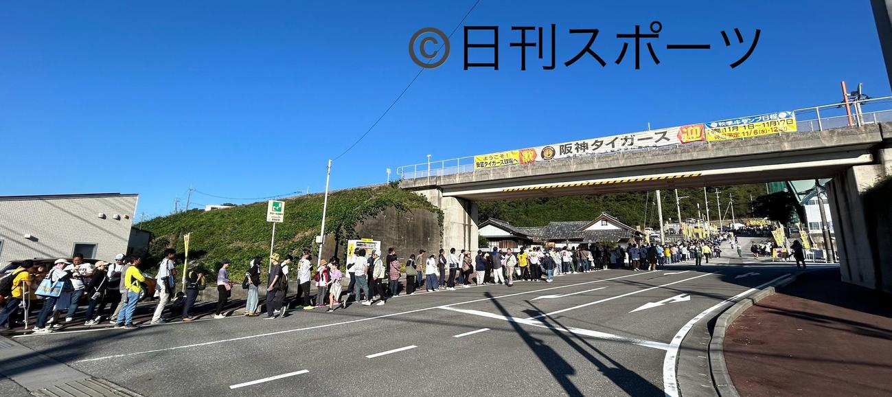 秋季キャンプ3日目、今キャンプ初の晴天に連休も重なりサイン会抽選券を待つファンの長い列が国道まで伸びた（撮影・加藤哉）