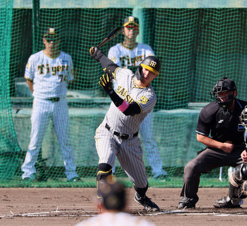 秋季キャンプ3日目、紅白戦　1回表紅組1死、三振する佐藤輝。後方右は藤川監督（撮影・加藤哉）