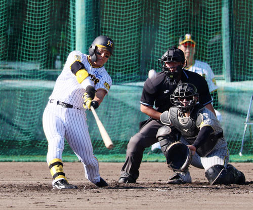秋季キャンプ3日目、紅白戦　3回裏白組2死、前川は左飛を打ち上げる（撮影・加藤哉）