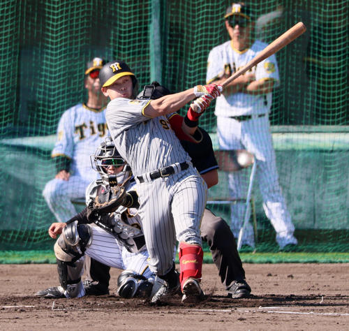 秋季キャンプ3日目、紅白戦　4回表紅組2死二塁、野口は三直に倒れる（撮影・加藤哉）