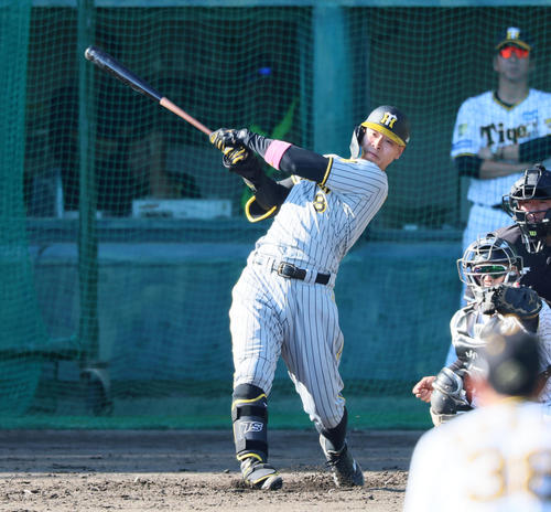 秋季キャンプ3日目、紅白戦　6回表紅組1死、佐藤輝は中前打を放つ（撮影・加藤哉）