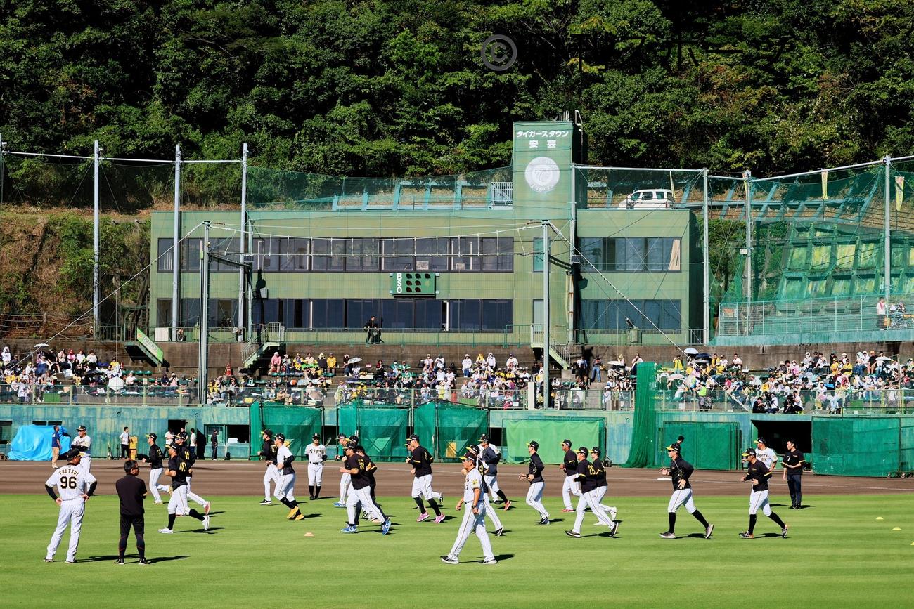秋季キャンプ3日目、メイングラウンドでウオーミングアップする阪神ナイン（撮影・加藤哉）
