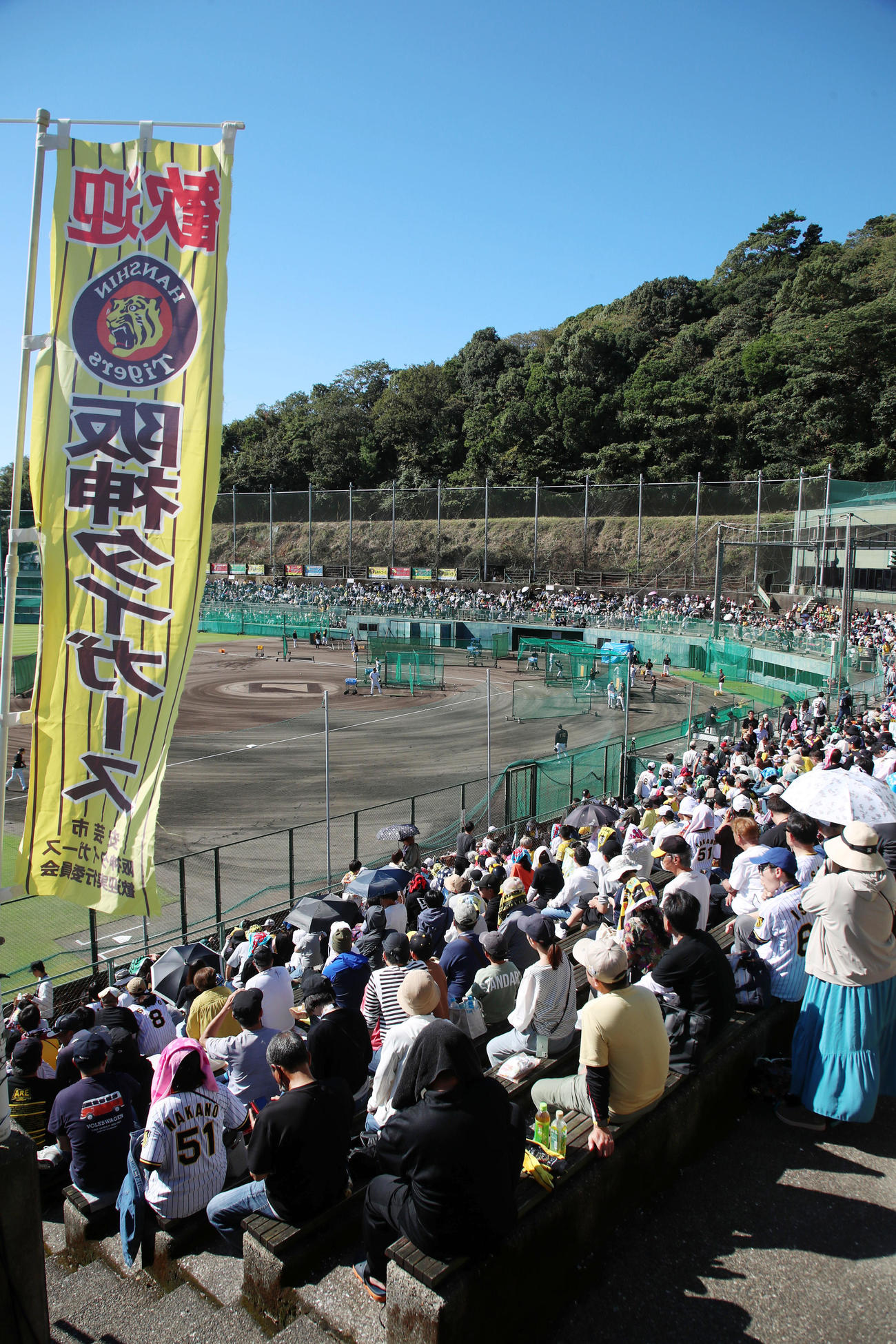 秋季キャンプ3日目、満員の阪神安芸秋季キャンプ（撮影・加藤哉）