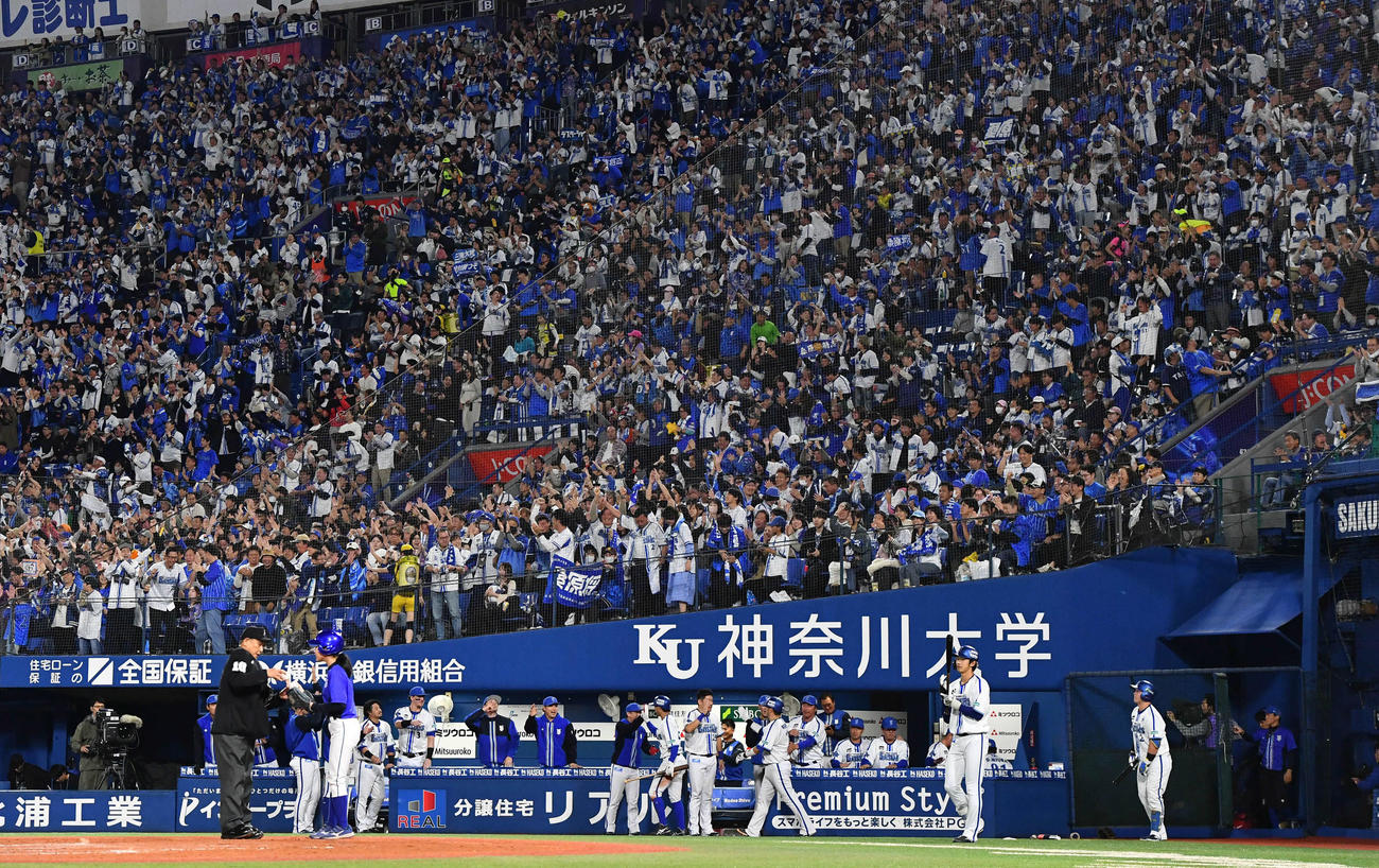 DeNA対ソフトバンク　2回裏DeNA2死二、三塁、桑原が左前2点適時打を放ち、歓喜するDeNAファン（撮影・岩下翔太）