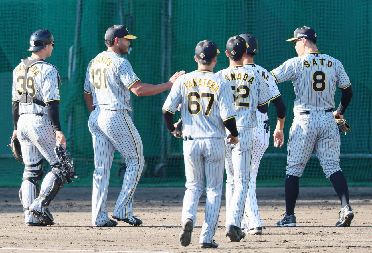 秋季キャンプ3日目、紅白戦の6回に登板し無失点ピッチングを披露したベタンセス（左）は佐藤輝らナインとタッチする（撮影・加藤哉）