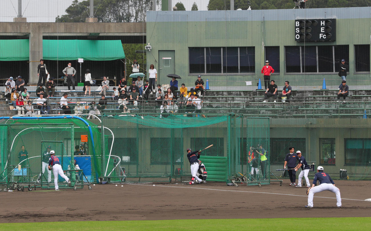 フリー打撃する阪神森下翔太（撮影・上山淳一）