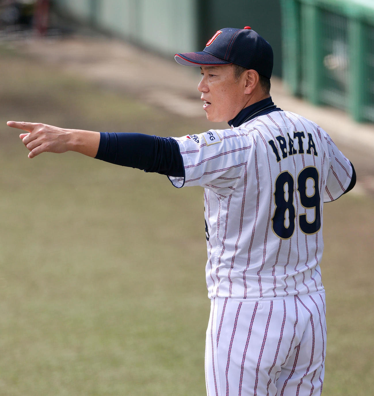 広島対侍ジャパン　ベンチ前で指示を出す侍ジャパン井端監督（撮影・上山淳一）