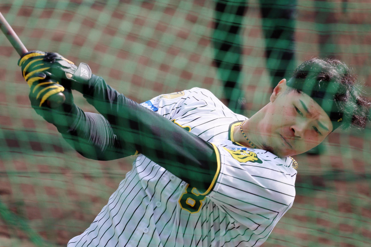 ティー打撃を行う佐藤輝（撮影・加藤哉）