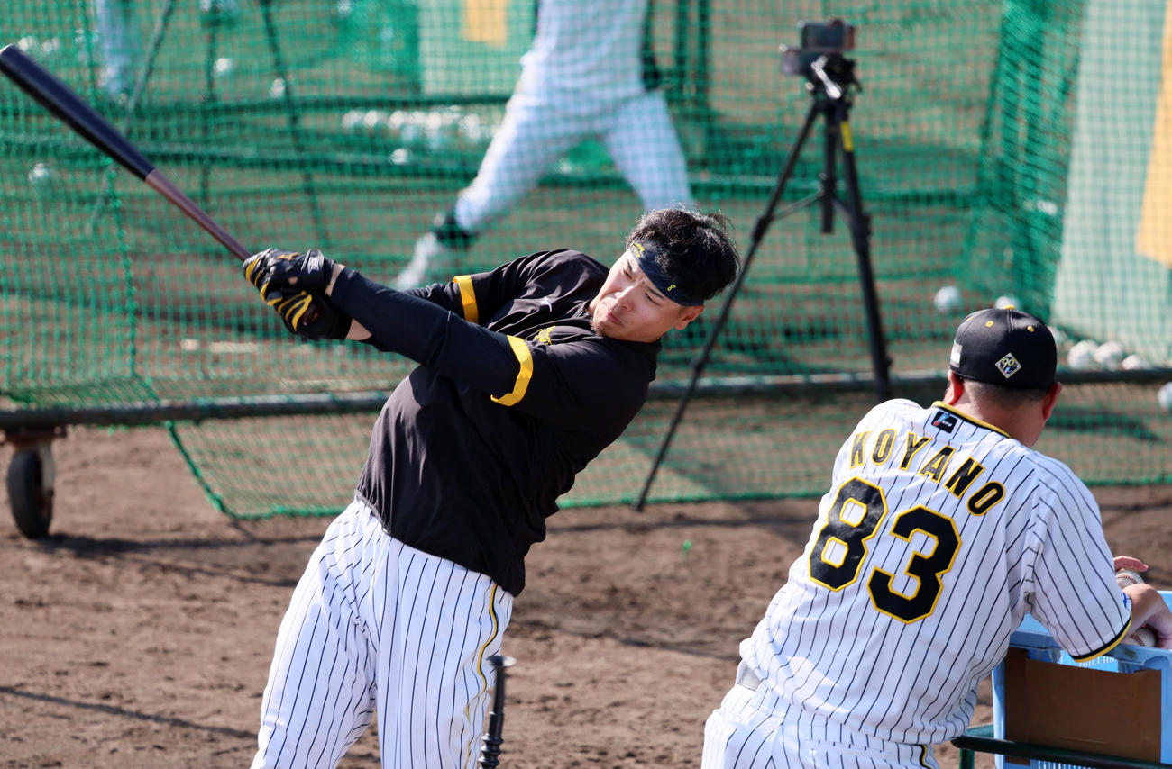 小谷野チーフコーチ（右）の前でロングティー打撃を行う佐藤輝（撮影・加藤哉）