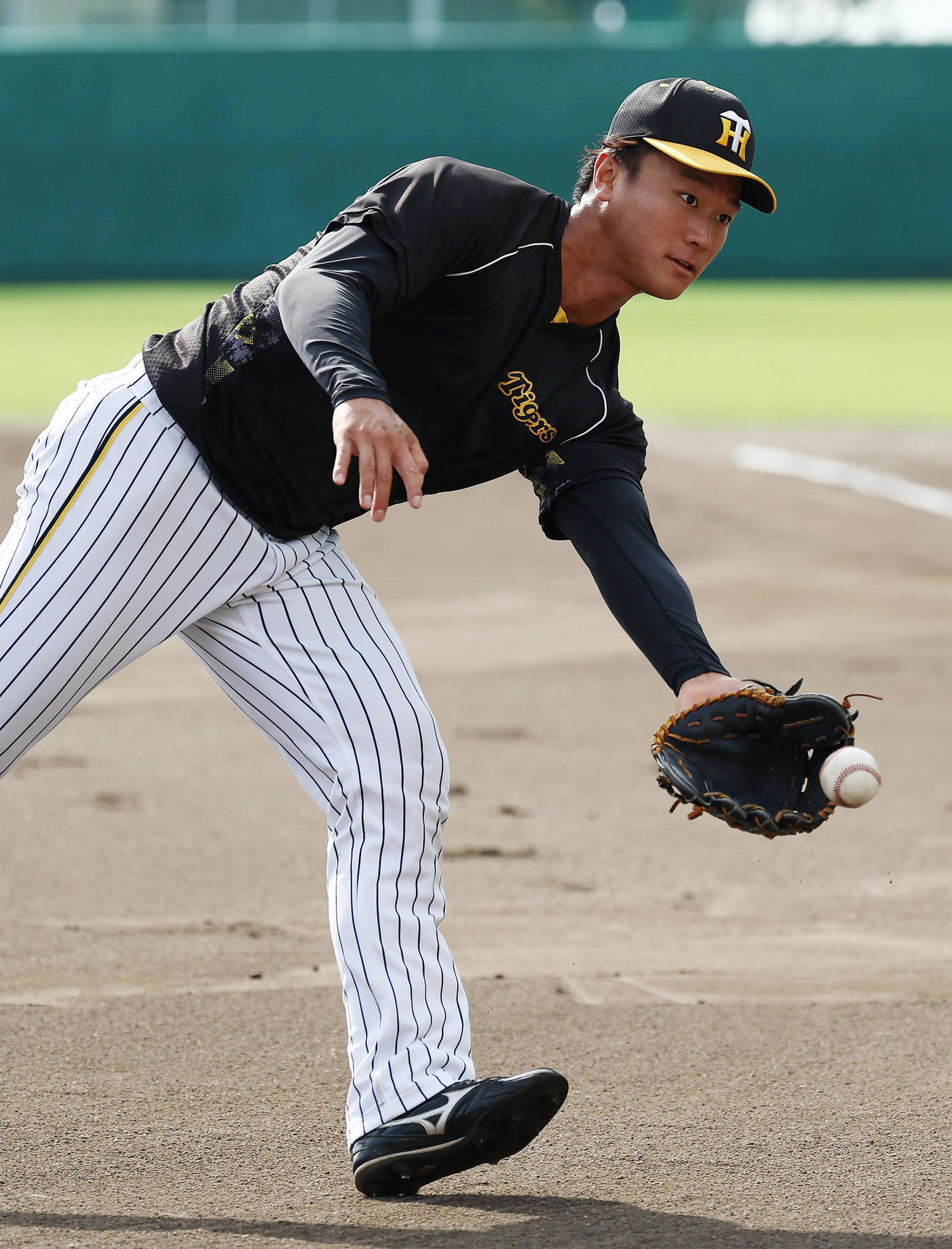 投内連係を行う阪神森木（撮影・前田充）