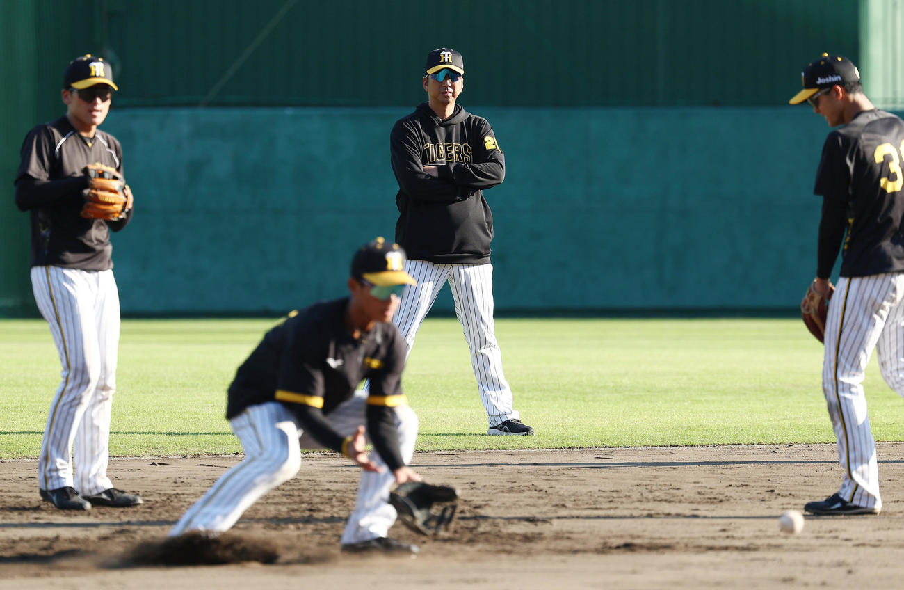 サブグラウンドでノックを見守る阪神藤川監督（中央）（撮影・前田充）