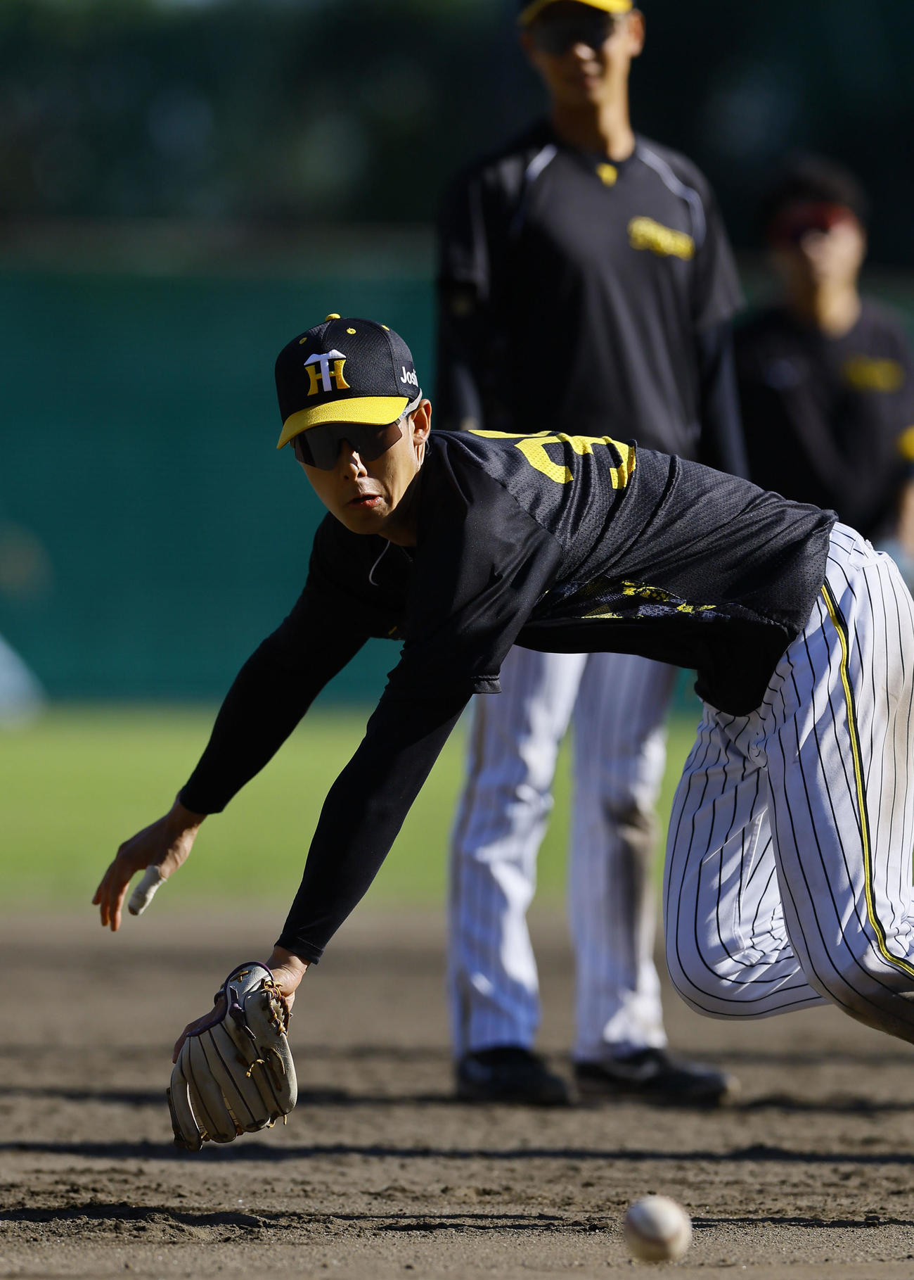 守備練習で軽快な動きを見せる阪神小幡（撮影・藤尾明華）