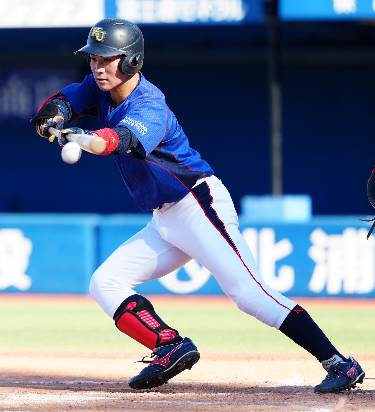 神奈川大対横浜商大　3回表神奈川大無死一、二塁、送りバントを失敗する庄子（撮影・江口和貴）