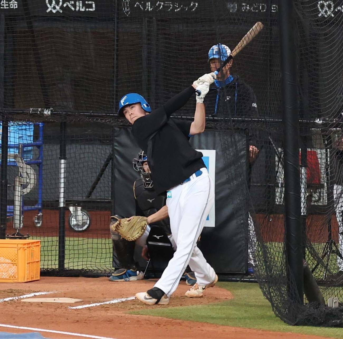 日本ハムの秋季キャンプに参加しフリー打撃するマイカ与那嶺（撮影・黒川智章）