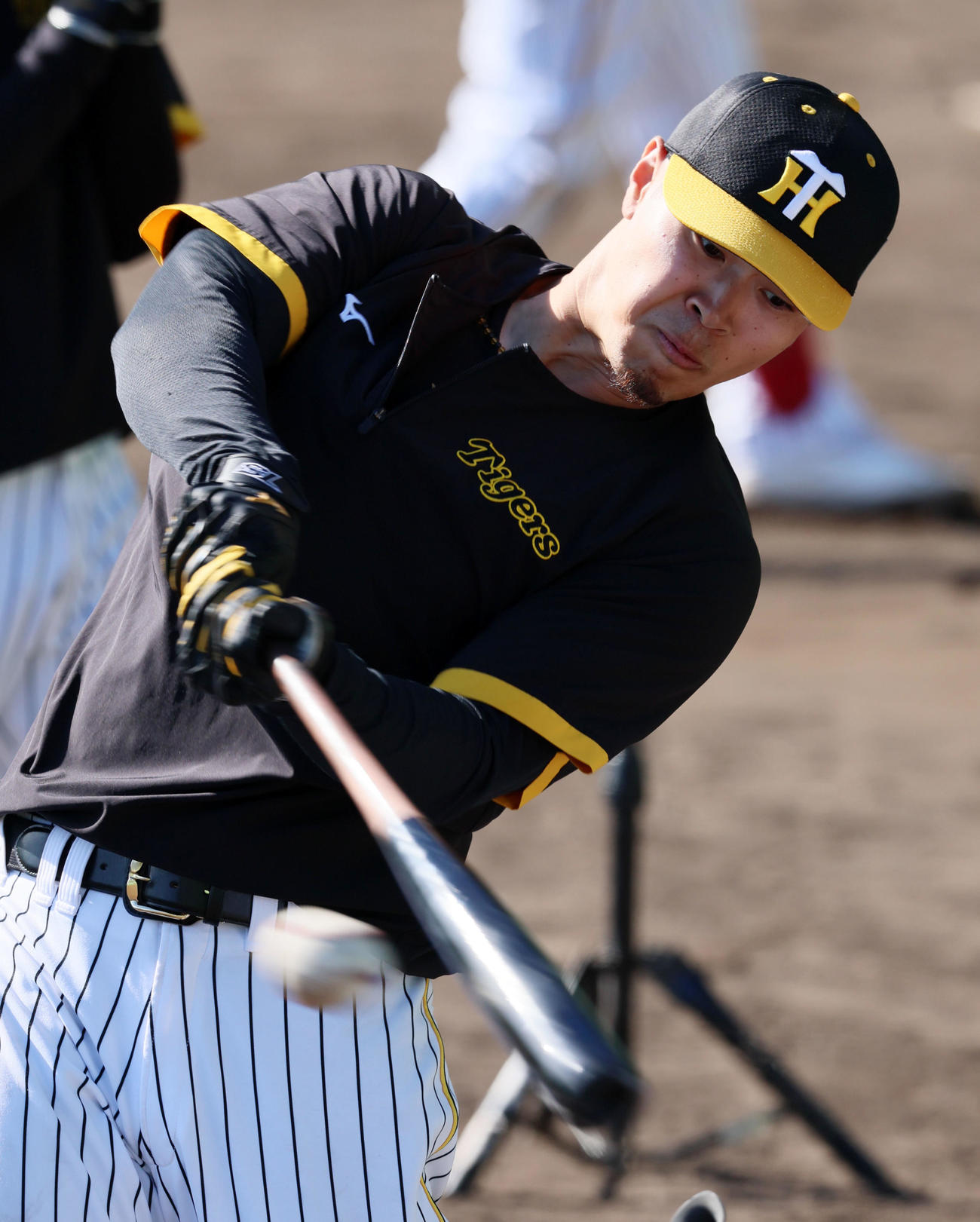 ロングティー打撃を行う佐藤輝（撮影・加藤哉）