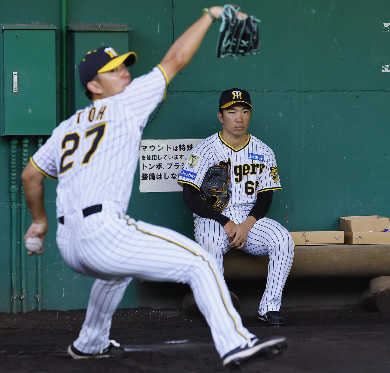 ブルペンで伊藤将の投球練習を見つめる阪神石井（撮影・藤尾明華）