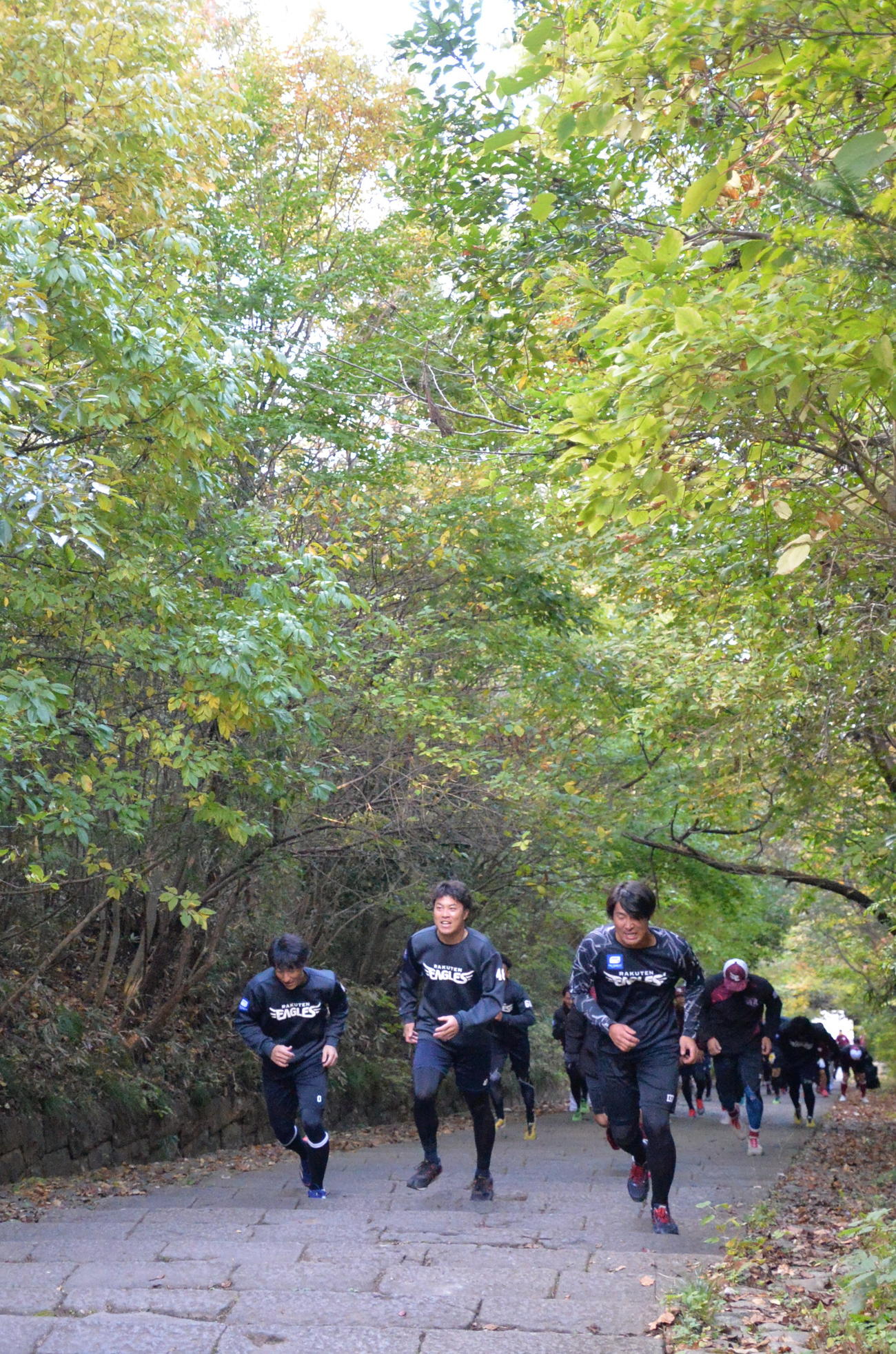 274段の石段を、苦悶（くもん）の表情を浮かべながら登る楽天の選手たち（撮影・浜本神威）