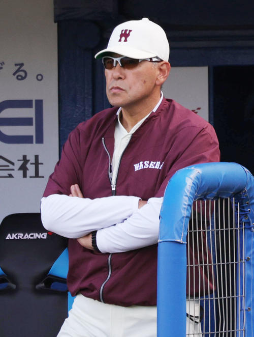 早大対慶大　試合を見つめる早大・小宮山監督（撮影・野上伸悟）