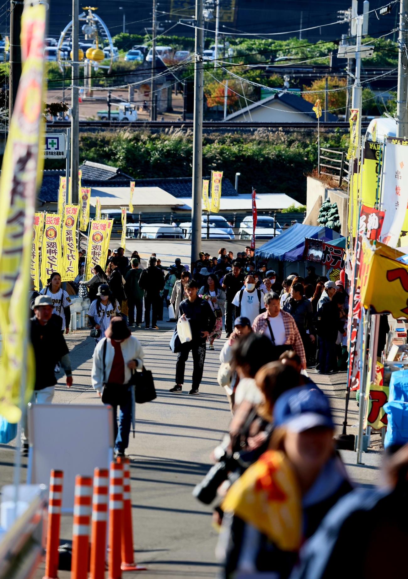 朝から多くのファンが訪れる安芸の阪神秋季キャンプ（撮影・加藤哉）