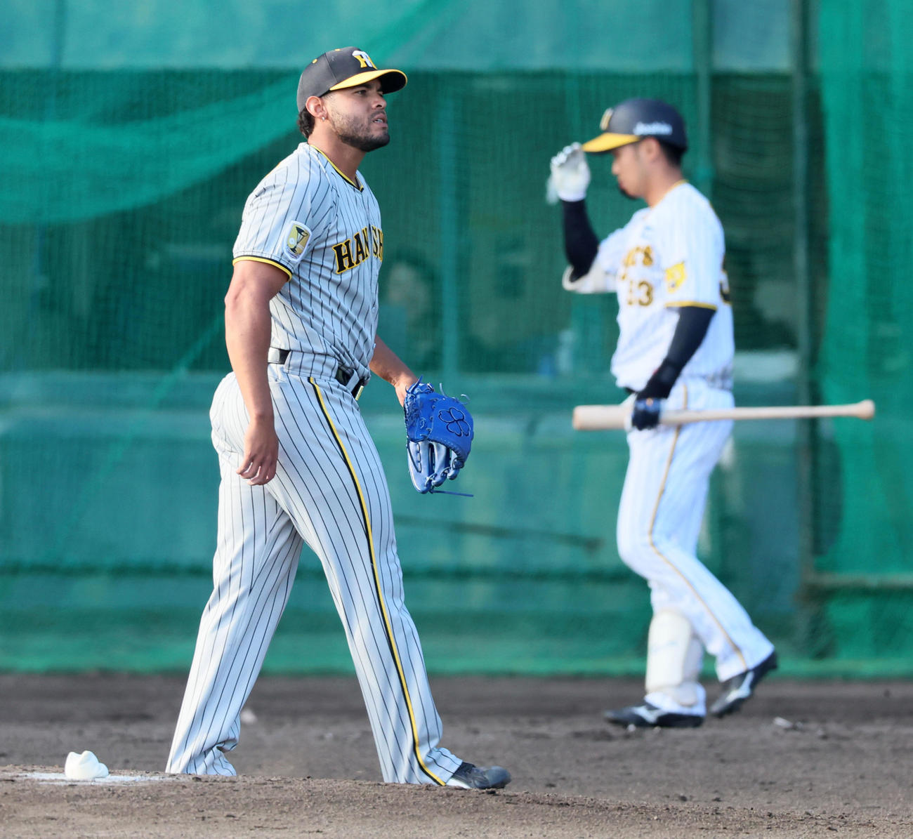 紅白戦　6回裏白組2死、ベタンセスは島田を三振に仕留め試合終了（撮影・加藤哉）