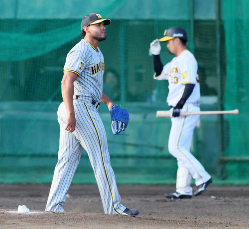 紅白戦　6回裏白組2死、ベタンセスは島田を三振に仕留め試合終了（撮影・加藤哉）