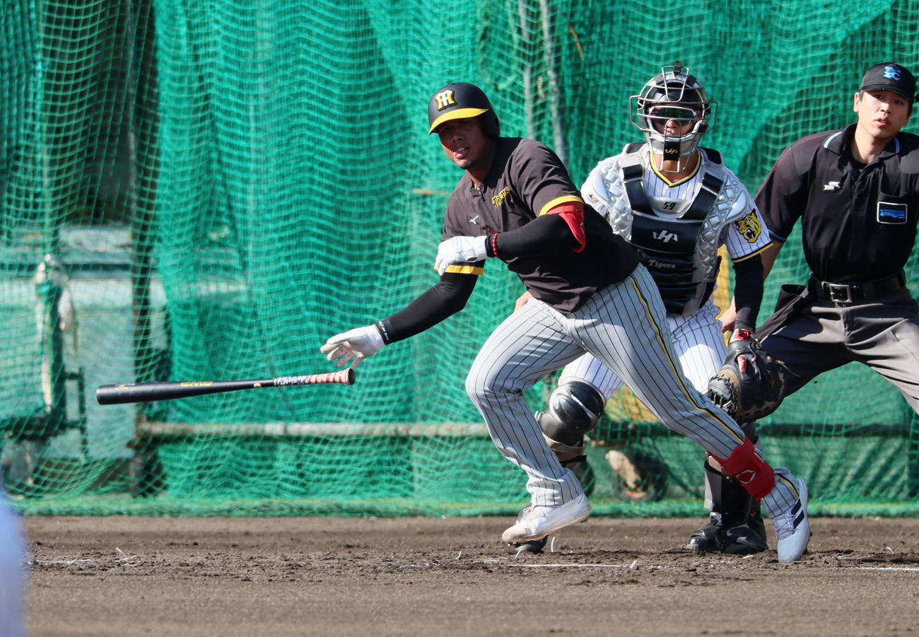 紅白戦　2回表紅組1死一、三塁、アルナエスは中前適時打を放つ（撮影・加藤哉）