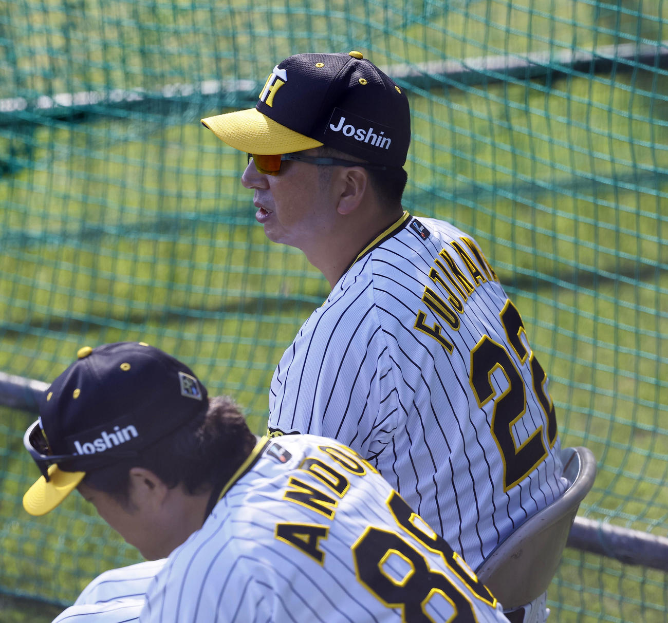 紅白戦を見つめる阪神藤川監督（撮影・藤尾明華）