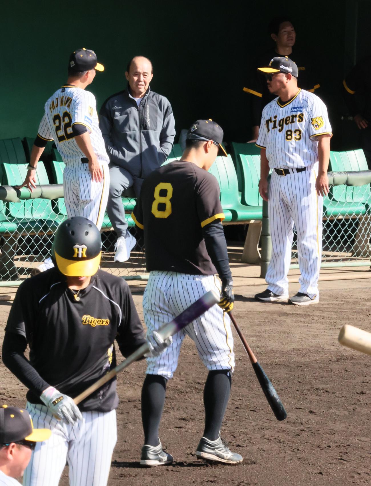 藤川監督(左)、小谷野打撃コーチ(右)と話す岡田オーナ付顧問（撮影・加藤哉）