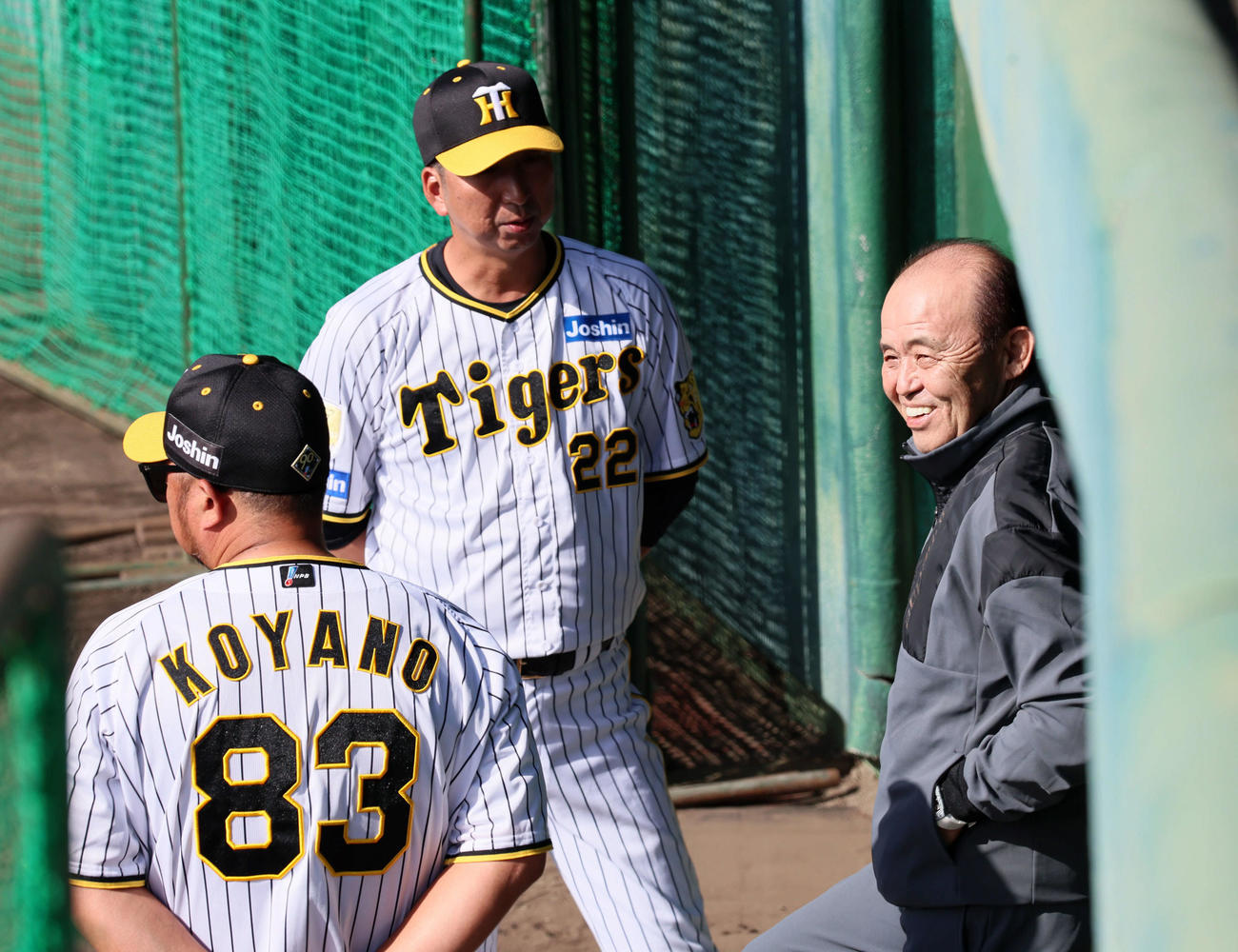 ベンチ前で藤川監督（中央）、小谷野打撃チーフコーチ（左）と談笑する岡田オーナー付顧問（撮影・加藤哉）