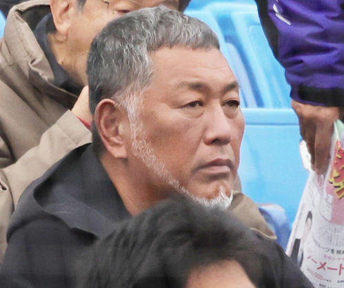 慶大対早大　観戦する清原和博氏（撮影・野上伸悟）