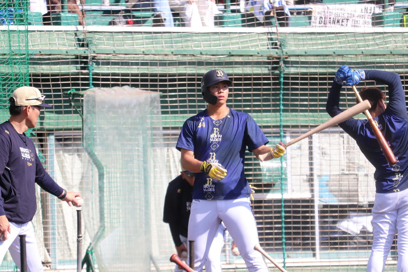 打撃練習を行うオリックス横山聖